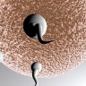 IVF waiting lists down as egg donors get ‘pay’ rise: Surge in hard-up women offering to sell their eggs for £750 ‘due to recession’