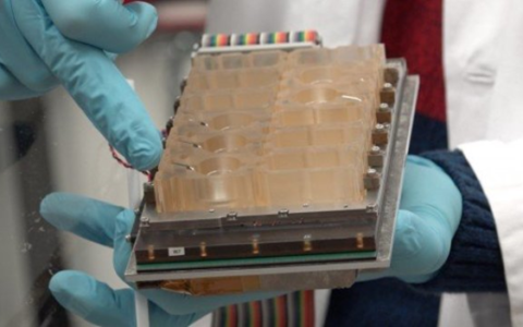 Female menstrual cycle in a dish