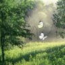 Biologist looks at butterflies to help solve human infertility