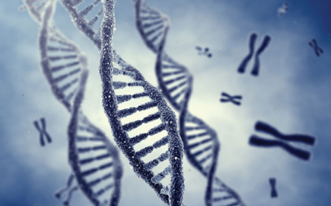 Gene mutation may be linked to unexplained female infertility