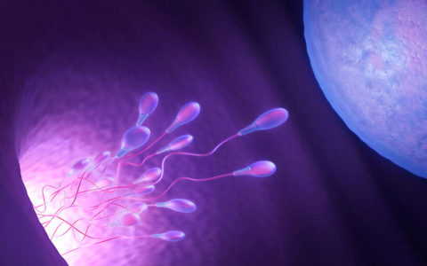 Flushed with success, but we will still need IVF