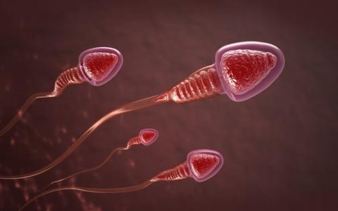 What Causes Male Infertility? Sperm Cells With Poorly Packaged Genes, Researchers Say