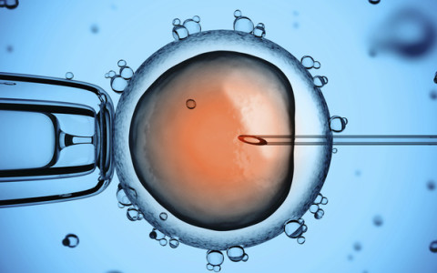 Norwegian Biotechnology Council recommends that egg donation be made legal in Norway