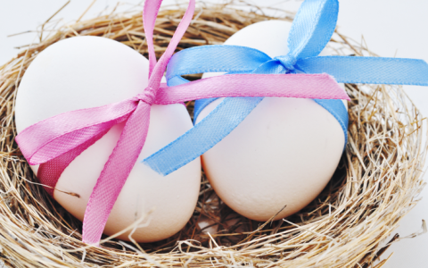 What should we feel about donor eggs?