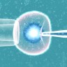 Scientists find possible cause for IVF implantation failure