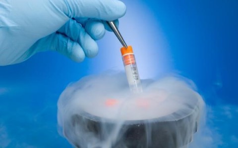 The scientists recommend to freeze the sperm in the age of 18