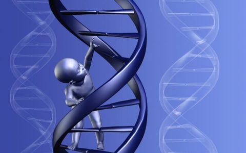 74 genes linked to education level, but effect is minimal