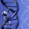 74 genes linked to education level, but effect is minimal