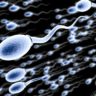 Researchers develop new technique that measures speed of rotating semen