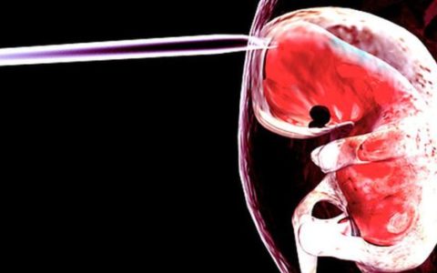 “Pregnancy fluid” reverses ageing bones