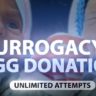 Infertility treatment step by step: surrogacy and egg donation, Biotexcom