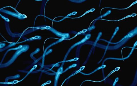 Taurine deficiency in sperm causes male infertility