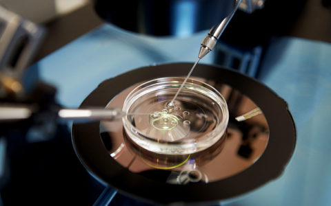 IVF does NOT increase a woman’s risk of breast, ovarian or womb cancer, study finds