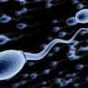 Frequent sex – not abstinence – is better for sperm quality