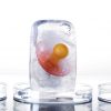 Take care of your future even today! Eggs preservation at BioTexCom