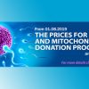 The Prices for Egg and Mitochondrial Donation Programs are Increasing